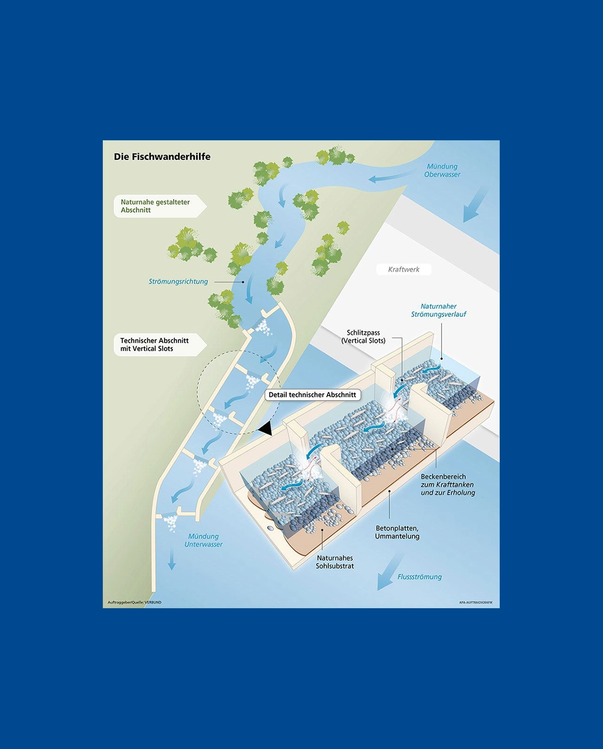 Die Grafik zeigt die Funktionsweise einer Fischwanderhilfer. Genaueres dazu findet man zudem im Text neben dem Bild.