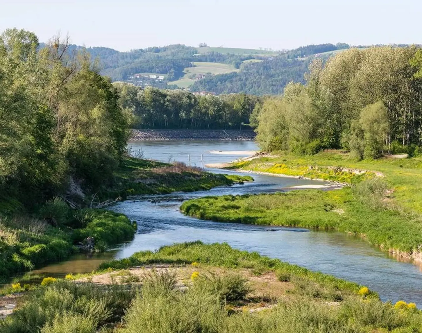 Ein sonniger Tag und wir sehen ein Flussbettt mit saftig grünen Flussufern. Der Fluss sucht sich einen Weg durch die Natur. Im Hintergrund ist auf einem Hügel eine Ortschaft zu sehen.