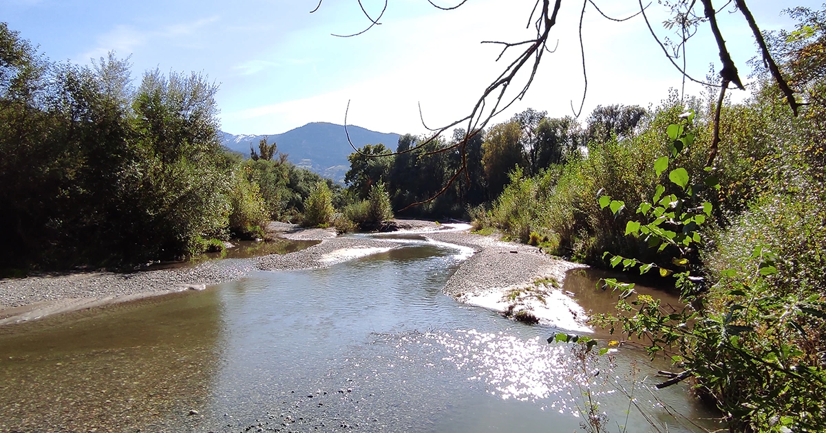 Ein ruhiger Fluss schlängelt sich durch ein Kiesbett, flankiert von üppigem Grün und Bergen im Hintergrund. Sonnenlicht spiegelt sich im Wasser, und Äste rahmen das obere Bild.