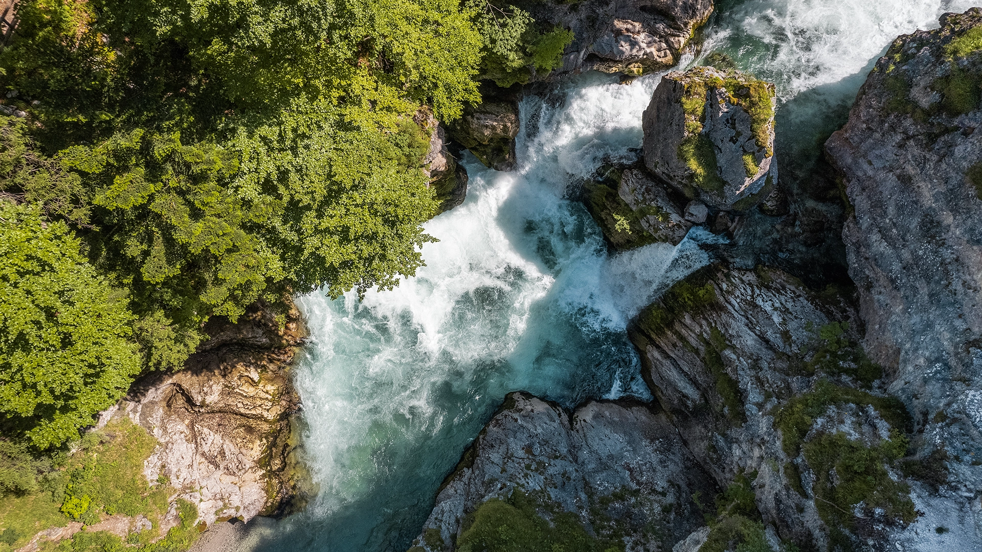 Wir blicken von oben auf den Schlegeis. Das Wasser fließt aufgewühlt zwischen Sträuchern und Steinen.