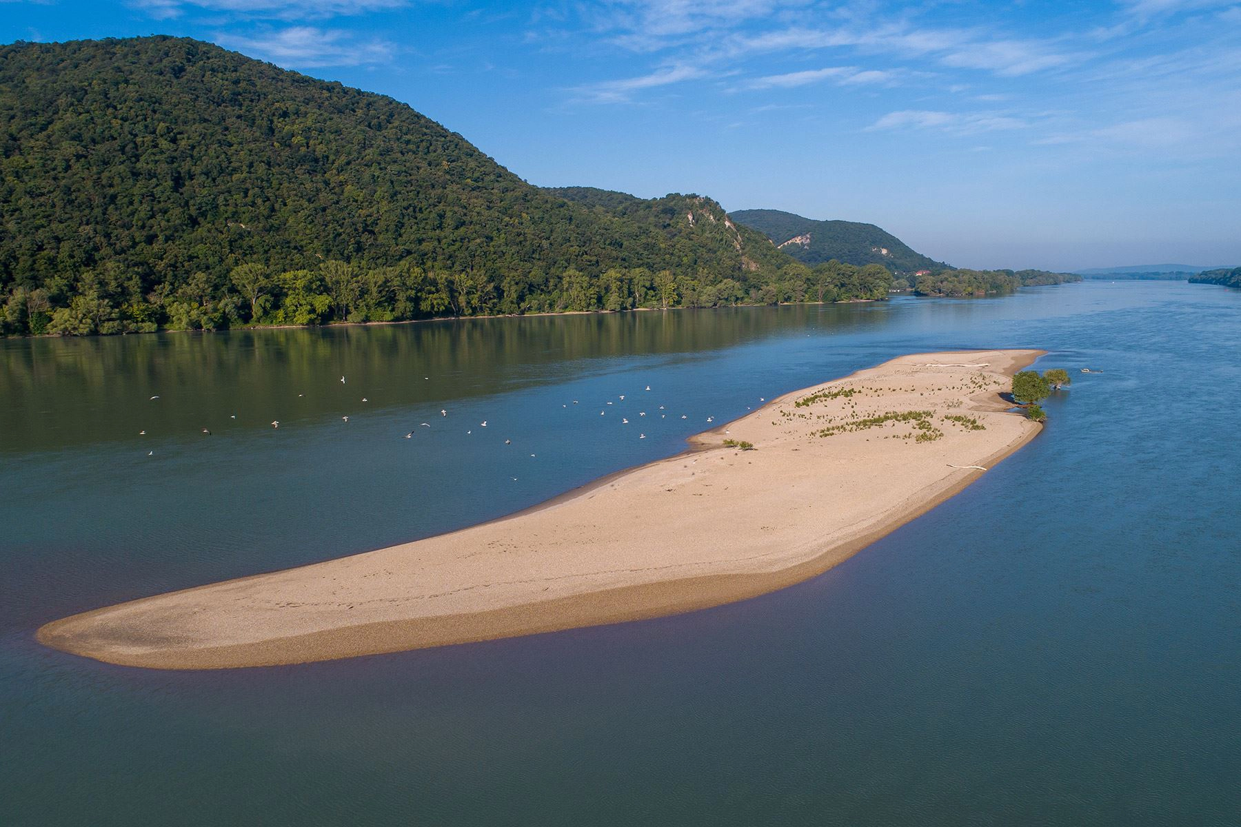 Das Bild zeigt eine Sandbank in der Donau. Diese wurde im Zuge des Revitalisierungsprojekt LIFE Wild Island umgesetzt.