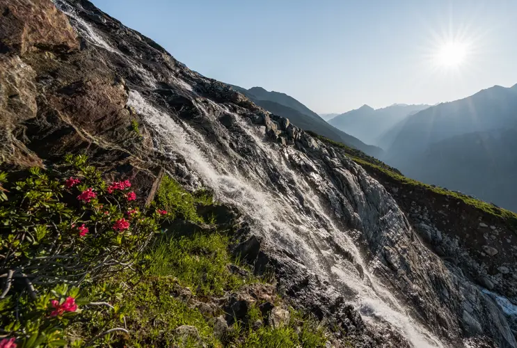 Wir sehen, wie in Schlegeis Bergwasser seinen Weg in die Tiefe bahnt. Auf der rechten Seite im Vordergrund blühen magentafarbene Blüten. Die Sonne scheint im Hintergrund.