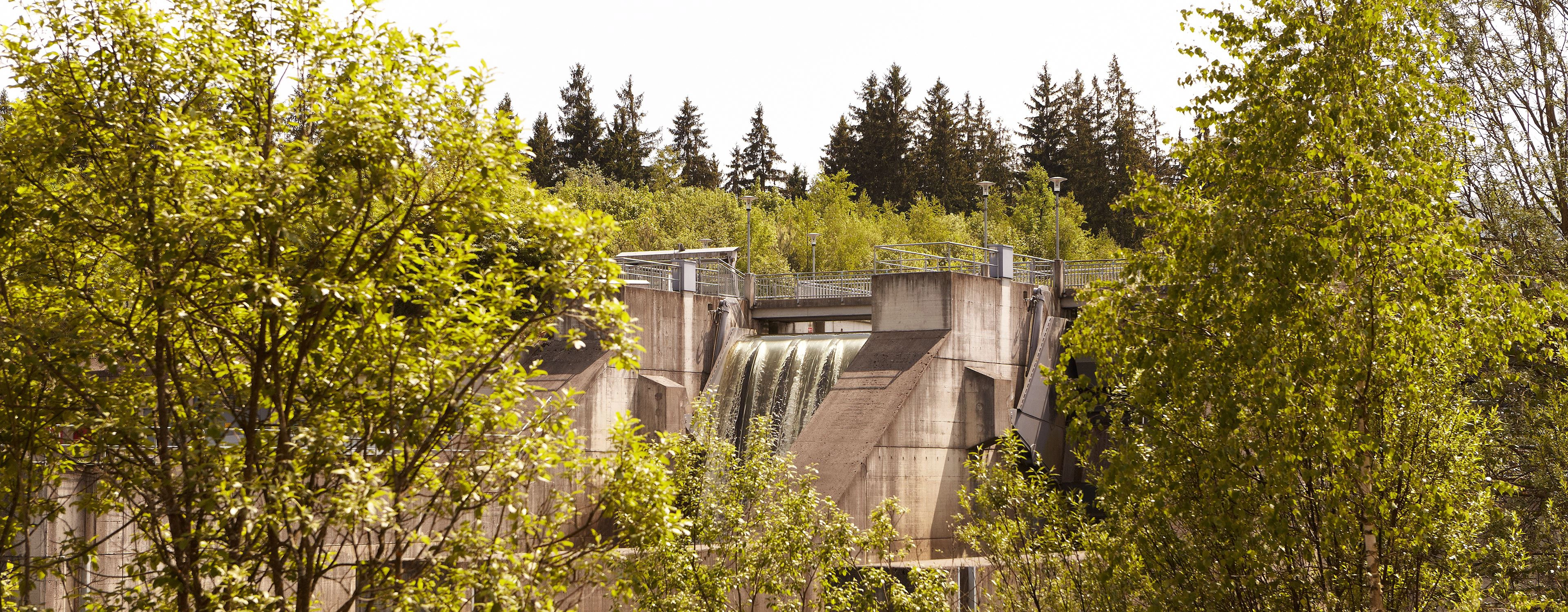 Concrete hydroelectric facility with water flowing down a ramp, railings and lights, surrounded by trees.